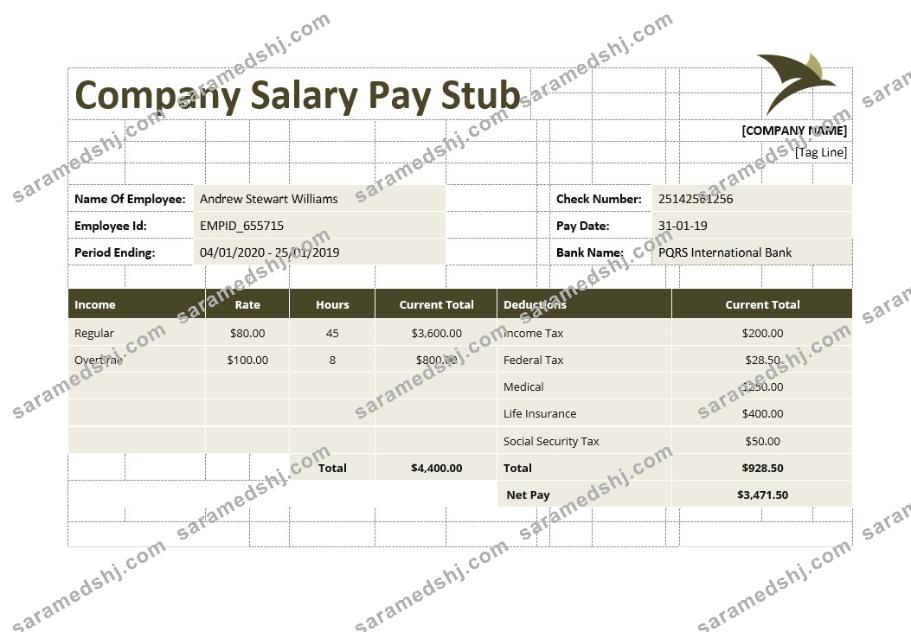 Company Salary Pay Stub Template